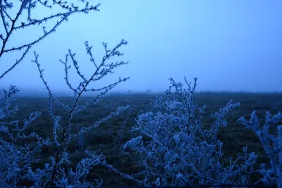 DSC_1033 (Large).JPG